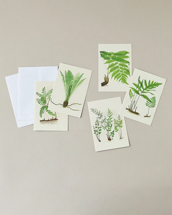 Beautiful Ferns Notecard Set
