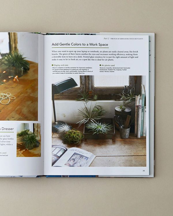 Living With Air Plants Book