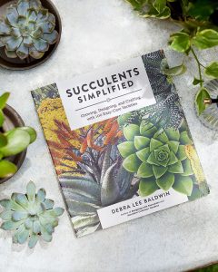 Succulents Simplified Book by Debra Lee Brown