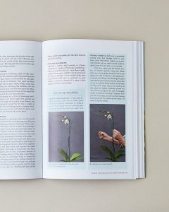 The Orchid Whisperer Book