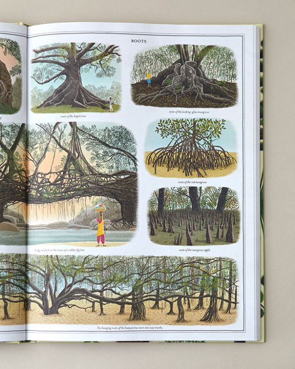Trees A Rooted History Book
