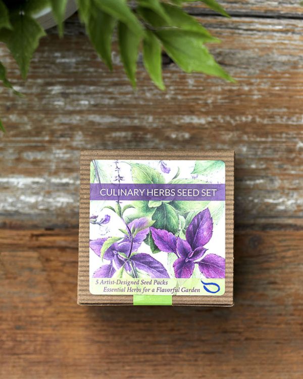 Culinary Herbs Seed Set Boxed