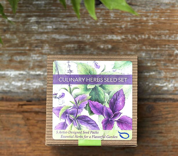 Culinary Herbs Seed Set Boxed