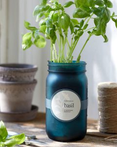 Garden Jar Grow Kit Basil