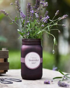 Garden Jar Grow Kit Lavender