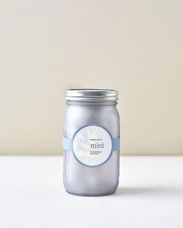 Garden Jar Grow Kit Mint