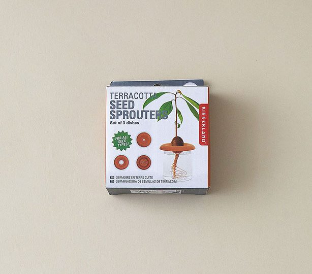 Terracotta Seed Sprouter Kit