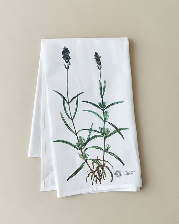 Longwood Gardens Lavender Tea Towel