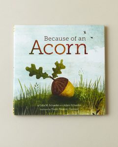 Because of an Acorn Book Front Cover