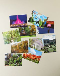Longwood Gardens Postcards Set of 10