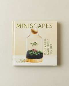 Miniscapes Book