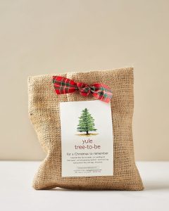 Yule Tree Kit