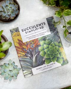 Succulents Simplified Book by Debra Lee Baldwin