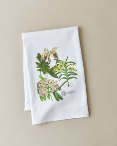 Longwood Gardens Orchid Tea Towel