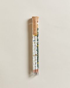 Terrrarium Pencil Set