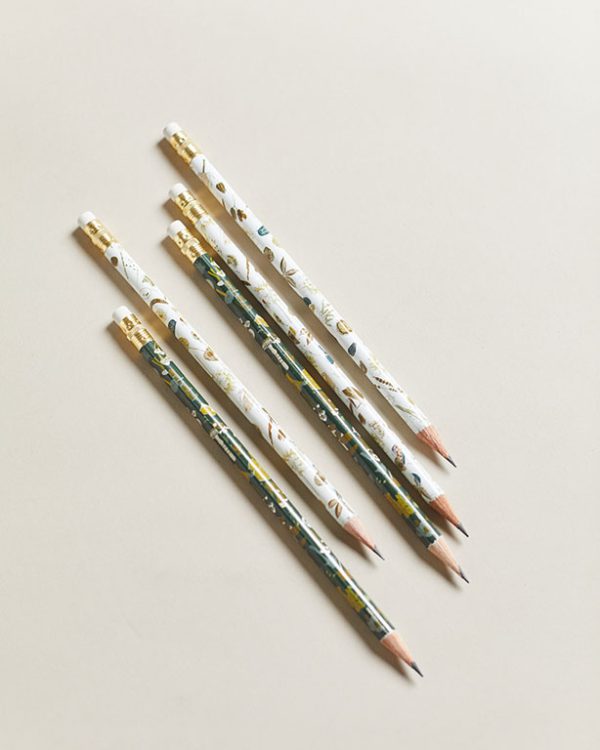 Terrrarium Pencil Set (3)