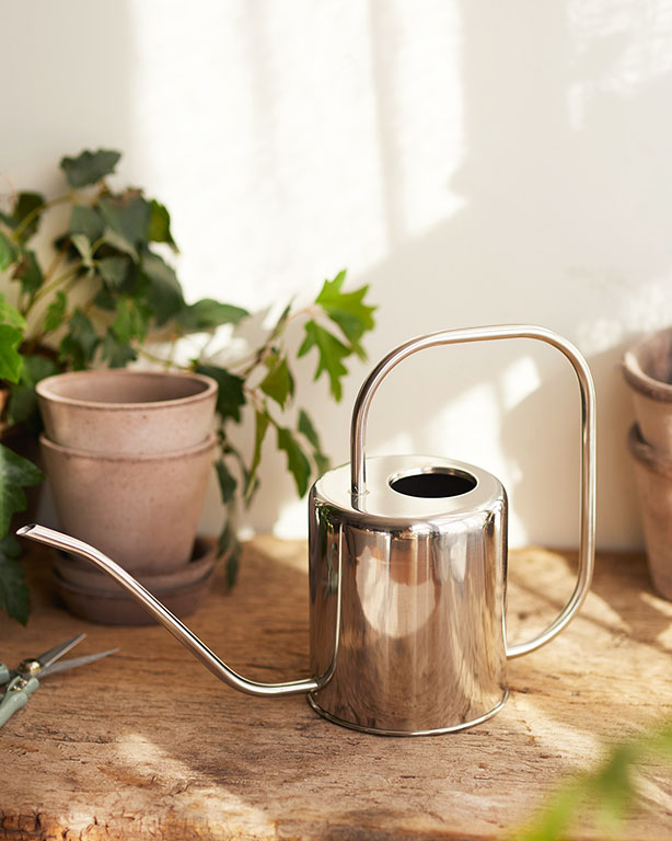 Modern Watering Can - Longwood Gardens