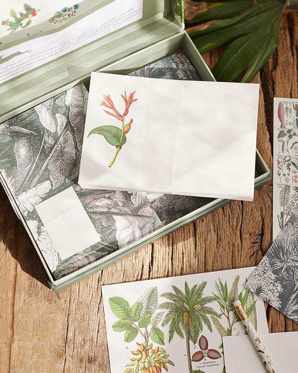 Letter Writing Kit Botanical -  Denmark