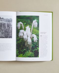 Longwood Flower Day Book 002