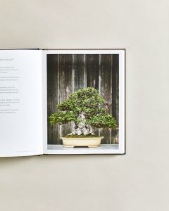 Bonsai Book (2)