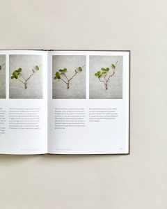 Bonsai Book (4)