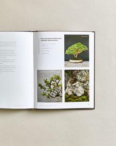 Bonsai Book (5)
