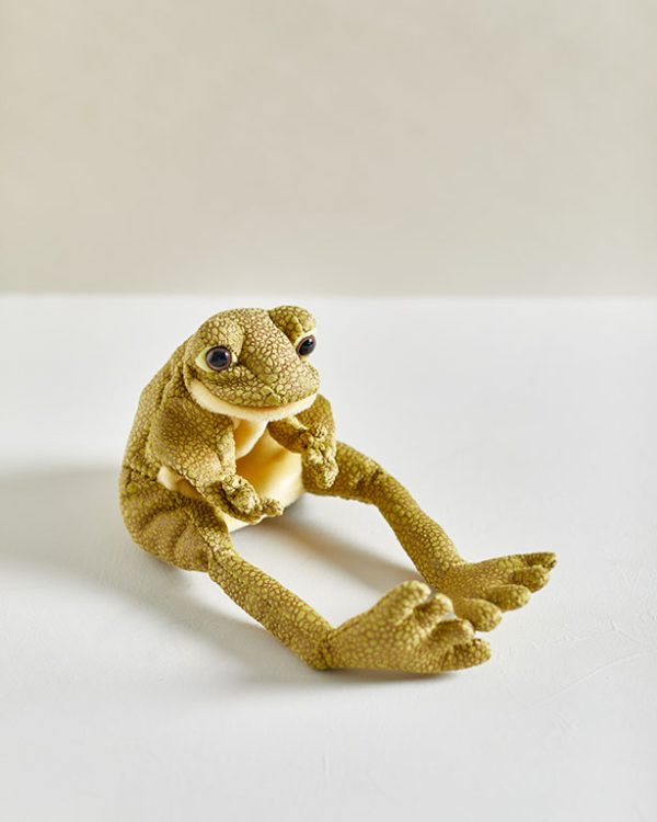 Frog Puppet (2)