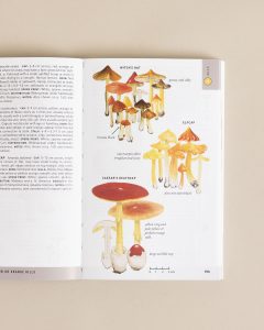 Field Guide To Mushrooms (2)