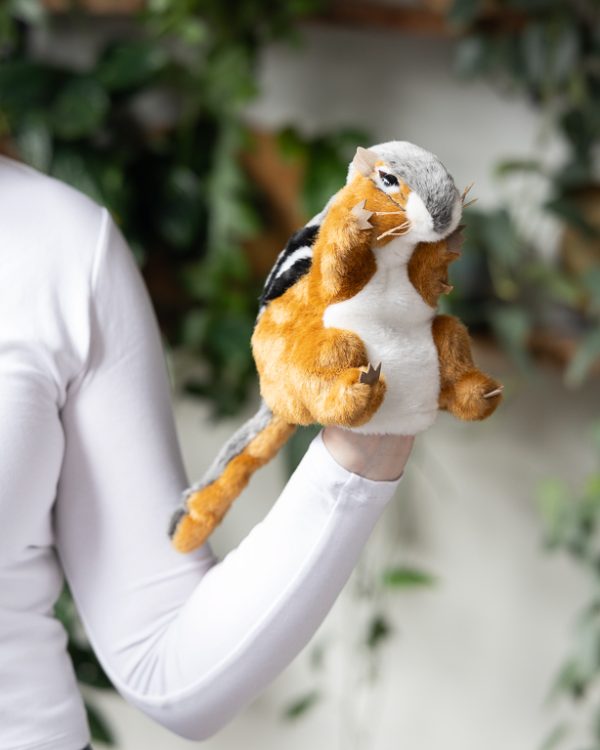 Longwood Squirell Puppet 000