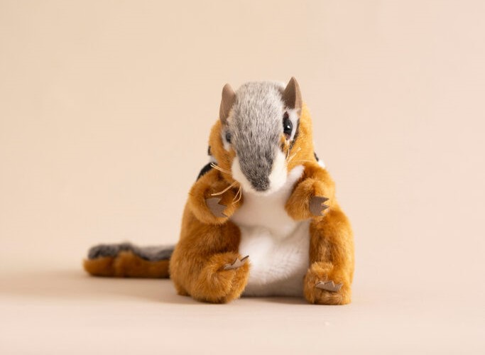 746563 Longwood Squirrel Puppet Duchala Adelyn